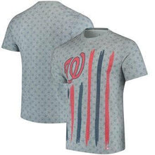 Load image into Gallery viewer, Washington Nationals Big Logo Flag T-Shirt - Gray MLB T-shirt